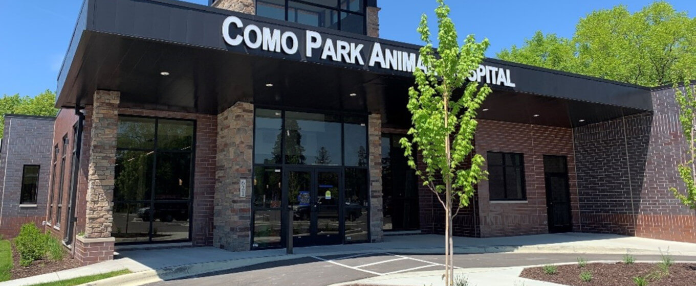 Como Park Animal Hospital - Molin